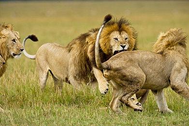 《重生旅人》将于4月21日正式登陆PC＆Switch